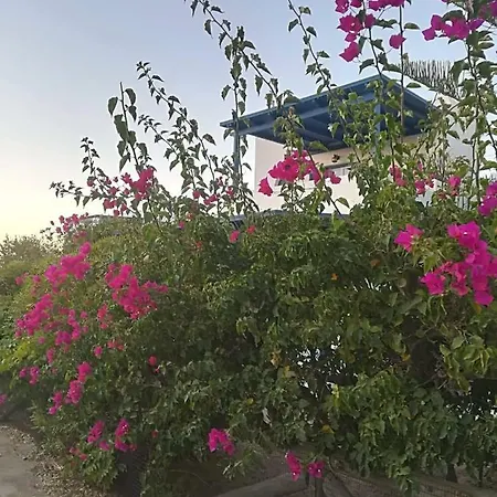 Nefeli In Blue * Pláka